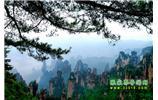 【純玩獨立成團線路1】張家界、袁家界、天子山、寶峰湖/黃龍洞二晚三日