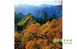 長沙往返張家界、天子山、寶峰湖/黃龍洞三日游