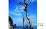 湘西之旅：張家界、天子山、寶峰湖/黃龍洞、鳳凰古城、猛洞河漂流、天門山六日游