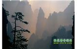 張家界國家森林公園、寶峰湖/黃龍洞、鳳凰古城、三峽八日游