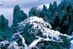 【純玩散拼線路17】張家界、天子山、芙蓉鎮(zhèn)、猛洞河漂流、鳳凰古城三晚四日游