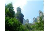 【純玩拼團(tuán)線路 張家界出發(fā)A2線】張家界、袁家界、天子山、金鞭溪、鳳凰古城2晚3日游